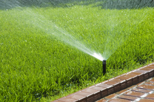 professional Emeryville sprinkler repair