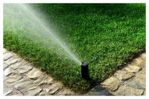 our Albany sprinkler repair team does lawn maintenance