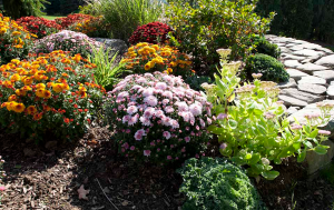 Planting bed kept green with in-ground sprinkler system in Berkeley