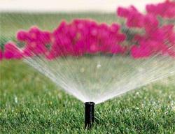 When it comes to Sprinkler Repair in Berkeley we get your sprinkler spraying