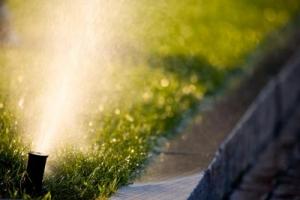 Berkeley Irrigation Repair fixes your coverage issues 