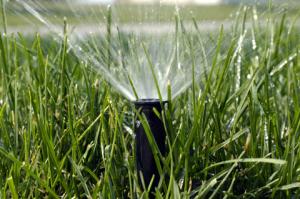irrigation Repair in Berkeley Starts with pop up heads